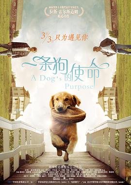接受的女大学生